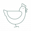 HOLiFOOD Icons_poultry (chicken) green